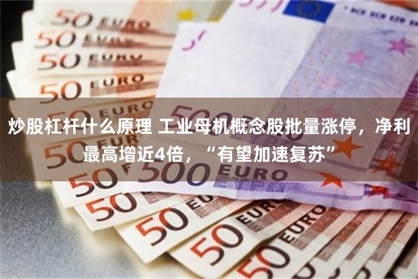 炒股杠杆什么原理 工业母机概念股批量涨停，净利最高增近4倍，“有望加速复苏”