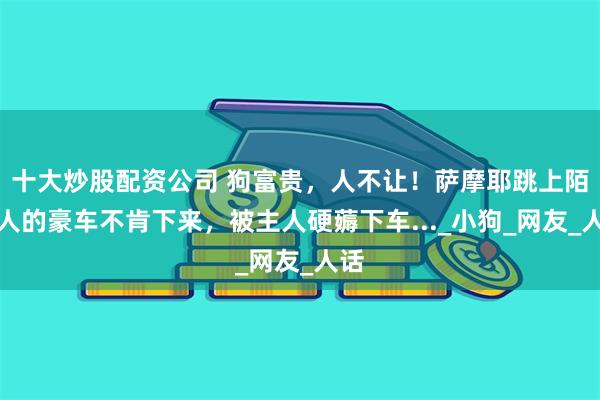 十大炒股配资公司 狗富贵，人不让！萨摩耶跳上陌生人的豪车不肯下来，被主人硬薅下车..._小狗_网友_人话
