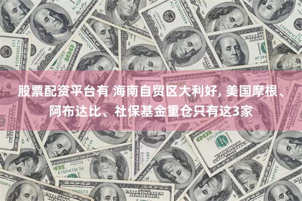 股票配资平台有 海南自贸区大利好, 美国摩根、阿布达比、社保基金重仓只有这3家