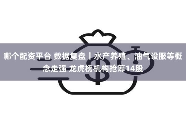 哪个配资平台 数据复盘丨水产养殖、油气设服等概念走强 龙虎榜机构抢筹14股