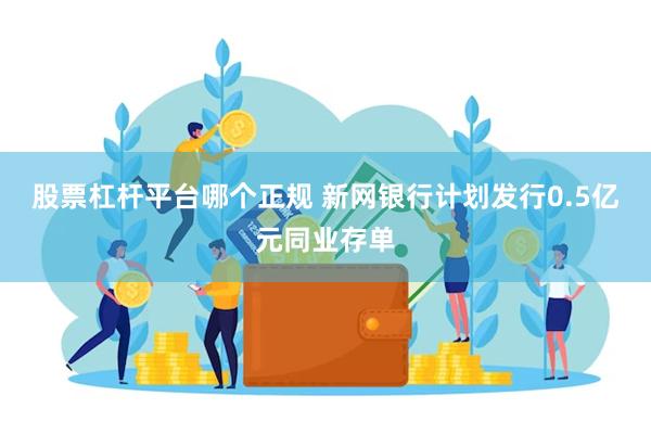 股票杠杆平台哪个正规 新网银行计划发行0.5亿元同业存单