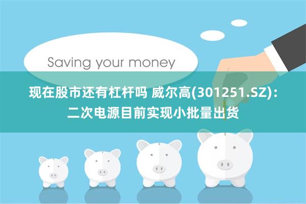 现在股市还有杠杆吗 威尔高(301251.SZ)：二次电源目前实现小批量出货