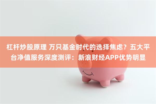 杠杆炒股原理 万只基金时代的选择焦虑？五大平台净值服务深度测评：新浪财经APP优势明显