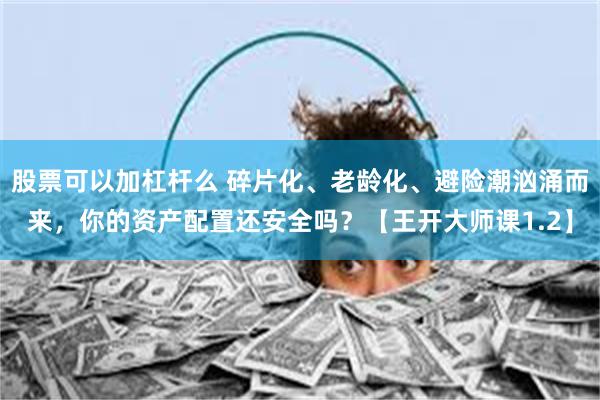 股票可以加杠杆么 碎片化、老龄化、避险潮汹涌而来，你的资产配置还安全吗？【王开大师课1.2】