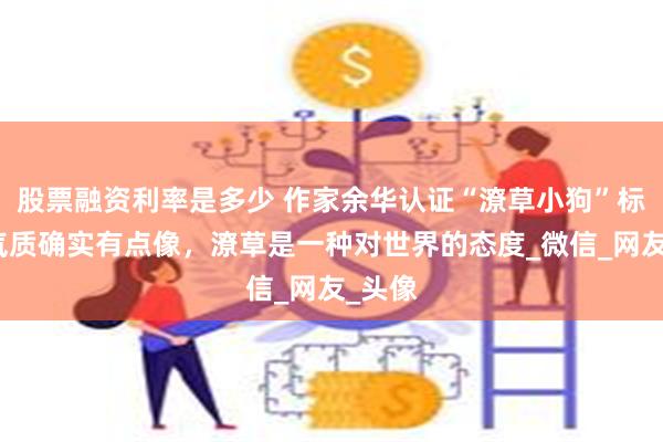 股票融资利率是多少 作家余华认证“潦草小狗”标签：气质确实有点像，潦草是一种对世界的态度_微信_网友_头像