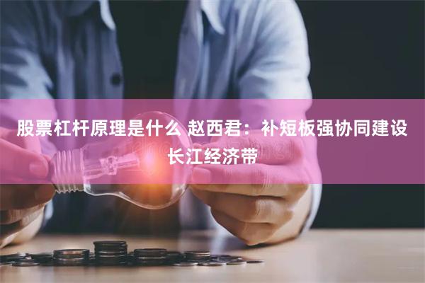 股票杠杆原理是什么 赵西君：补短板强协同建设长江经济带
